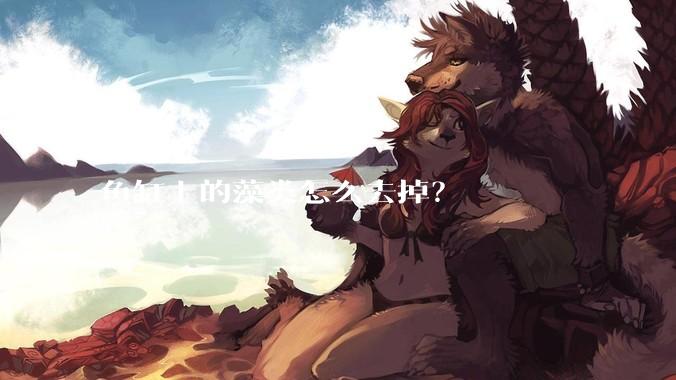 鱼缸上的藻类怎么去掉？