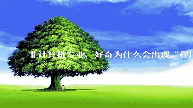 非计算机专业，好奇为什么会出现“程序依赖bug运行”的情况？