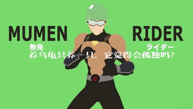 养乌龟只养一只，它觉得会孤独吗？