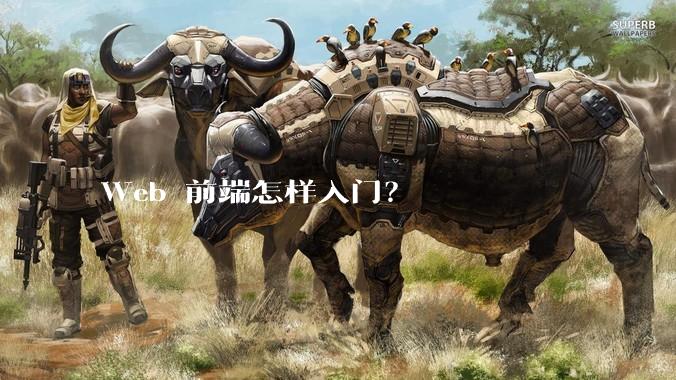 Web 前端怎样入门？