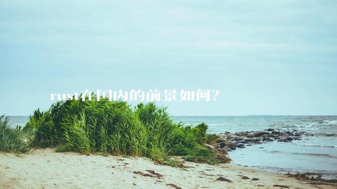 rust在国内的前景如何？