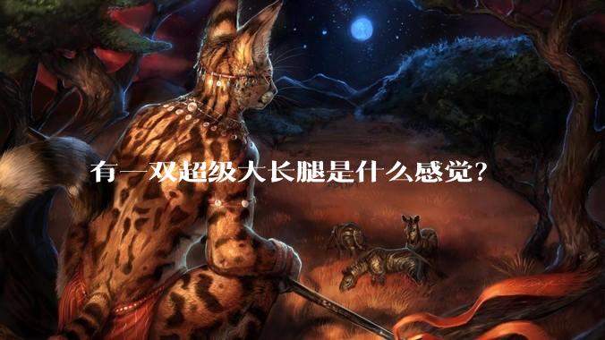 有一双超级大长腿是什么感觉？