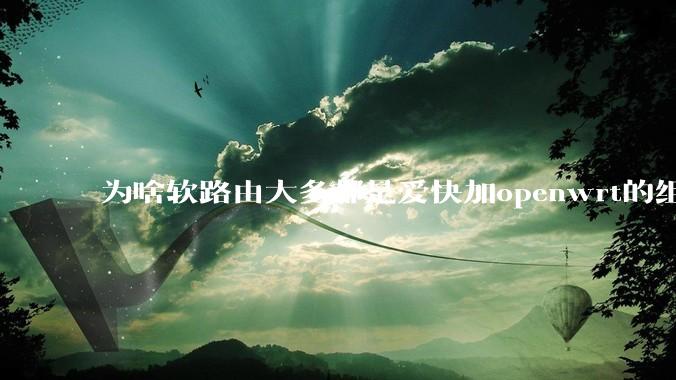 为啥软路由大多都是爱快加openwrt的组合，单openwrt有什么缺点嘛？