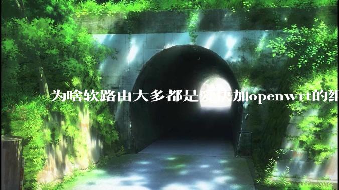为啥软路由大多都是爱快加openwrt的组合，单openwrt有什么缺点嘛？
