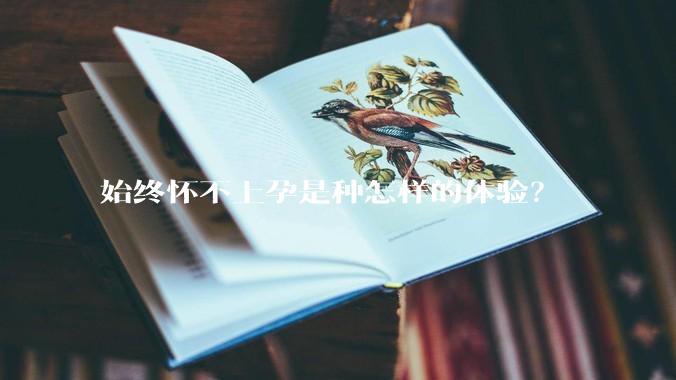 始终怀不上孕是种怎样的体验？